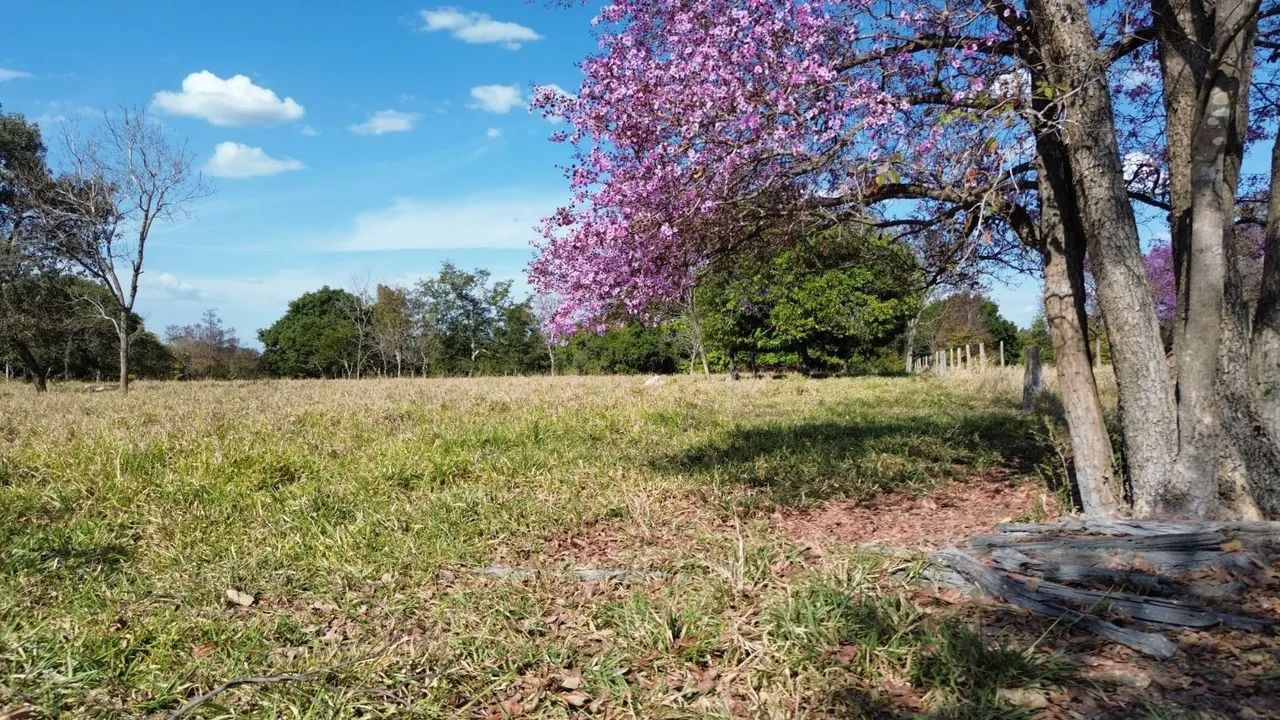 Chácara a Venda em Fazenda Nova go - Foto 9