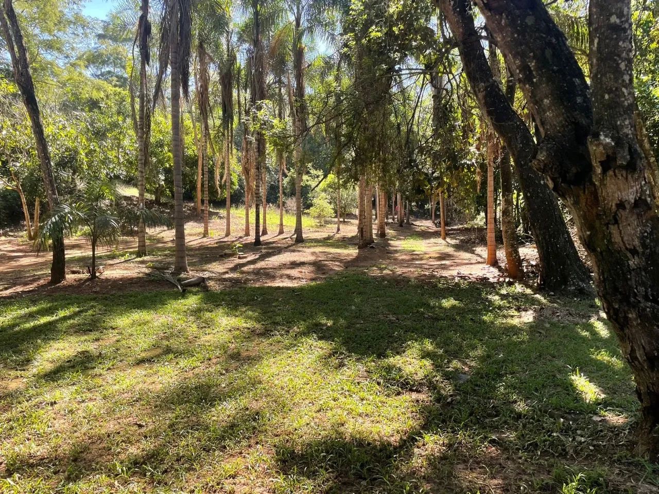 Chácara em Bonfinópolis - Foto 4