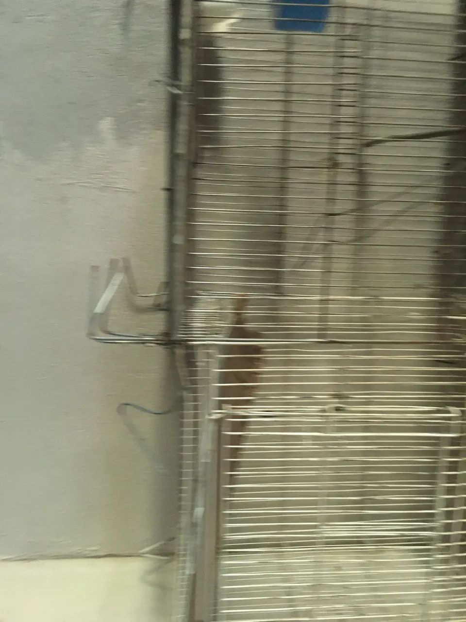 Gaiola dupla 64304559963265124