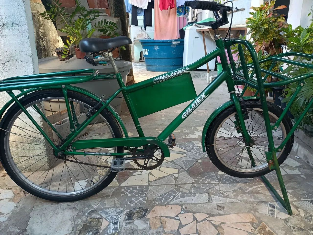 Bicicleta de Carga Verde