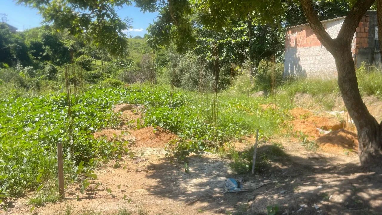 Terreno - Foto 2