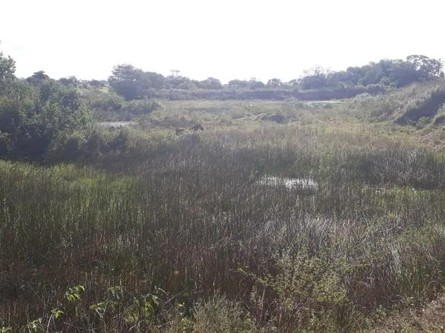 Ótima Fazenda em monte alegre com 20 hectares com o rio Trairi - Foto 4