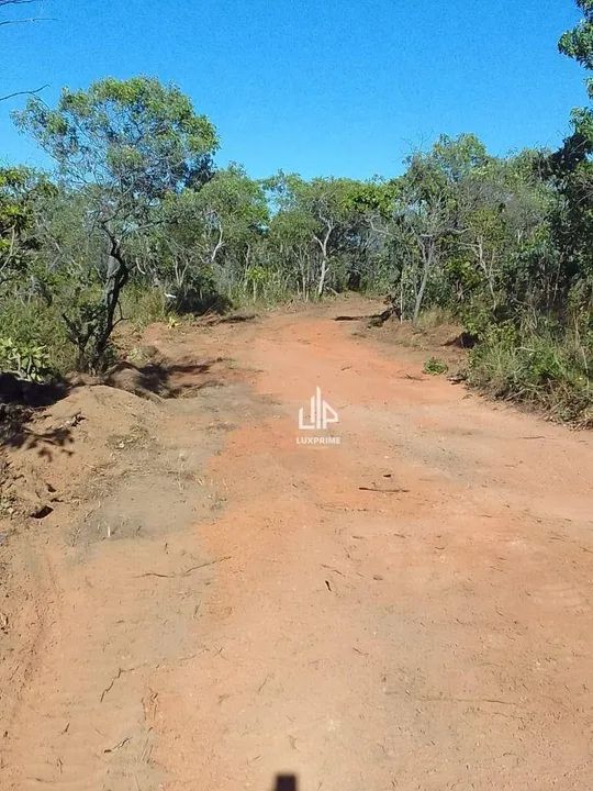 FAZENDA A R$ 17.000,00 o alqueire - Foto 2