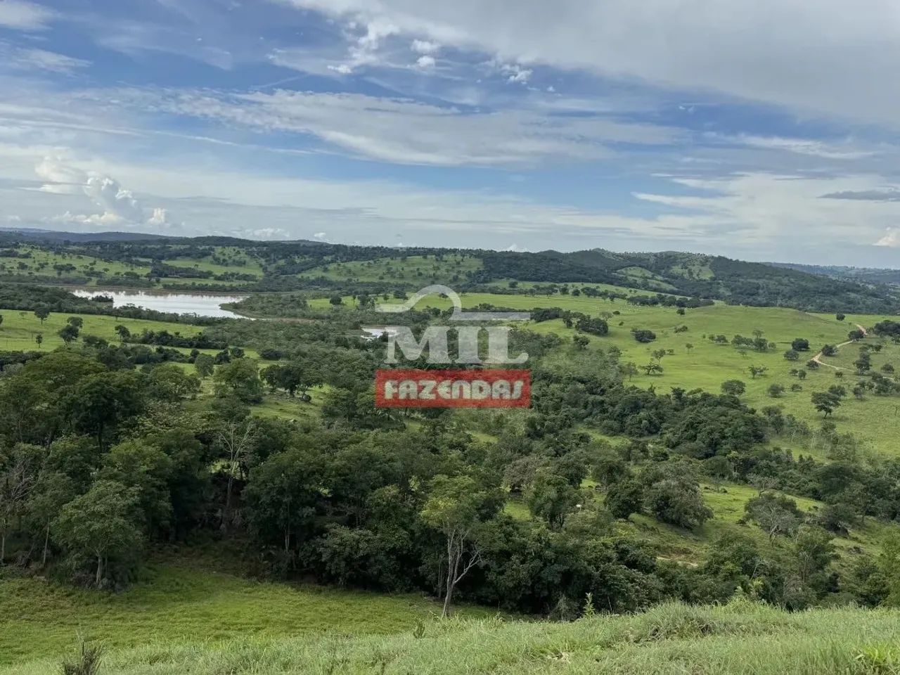 Fazenda 100 alqueires 484 hectares margens represa ( Nova Aurora ) - Foto 5