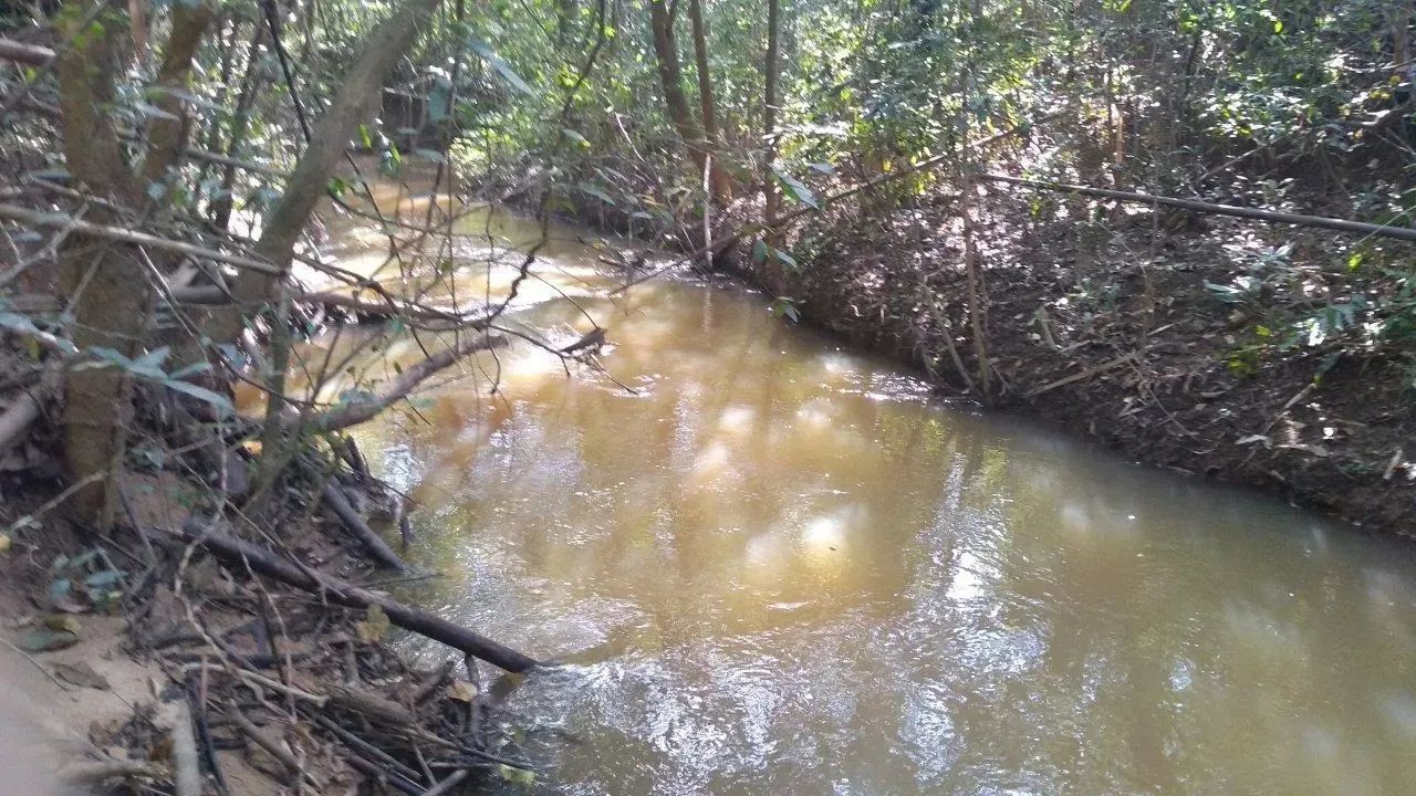 FAZENDA RURAL em Bonfim - MG, Rural - Foto 4