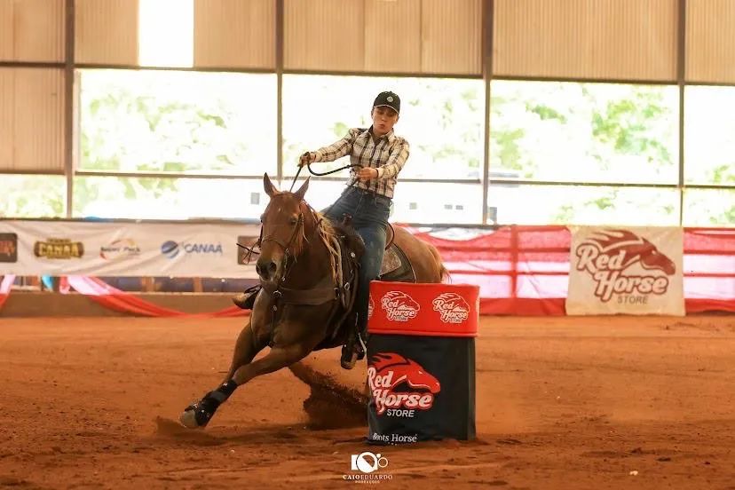 Cavalo Quarto de Milha  - Foto 4