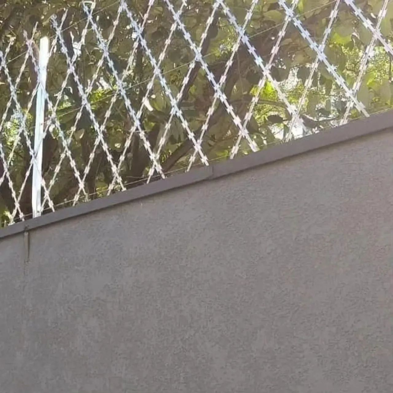 Concertina dupla galvanizado  - Foto 3