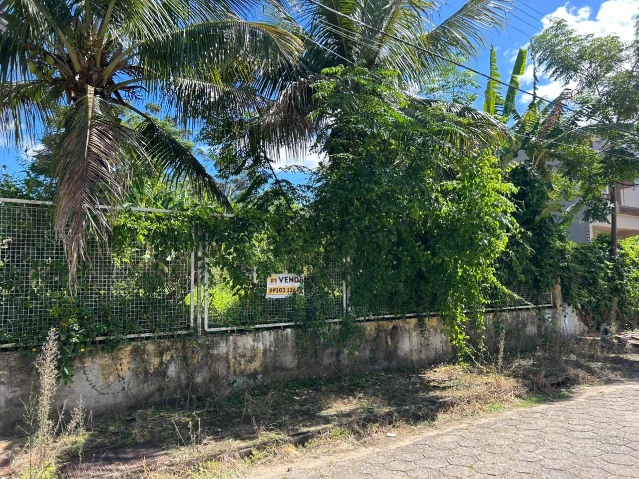 Terreno de 360m² à venda no bairro Santa Mônica
