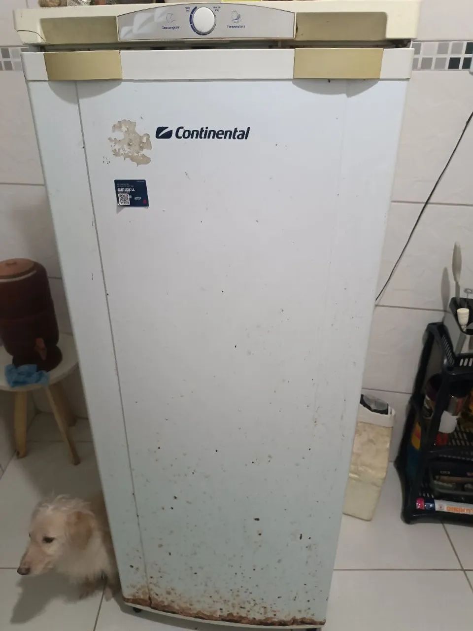 Geladeira funcionando perfeitamente 
