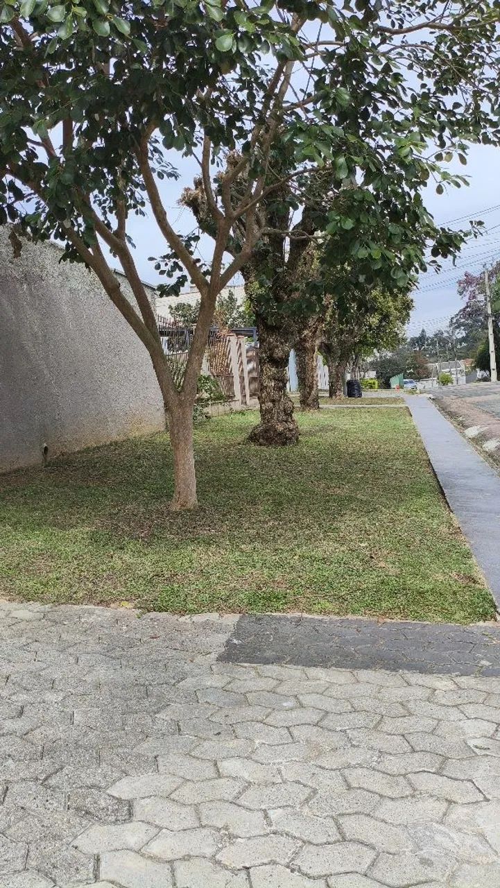 Corte de grama 