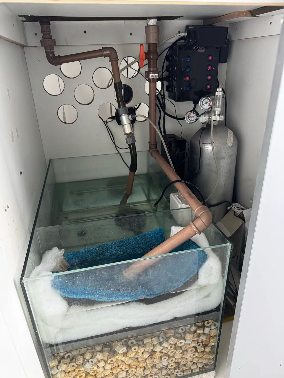 Aquário Completo  - Foto 4