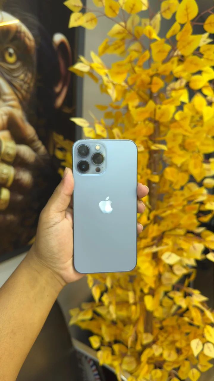iPhone 13 Pro Max 256 gb, interessados chama no zap, * - Celulares