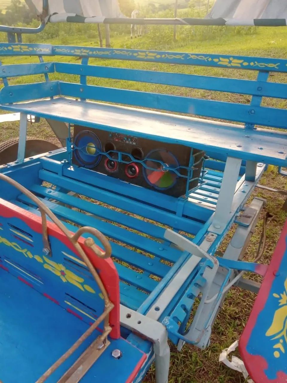 Charrete trassao animal  - Foto 2