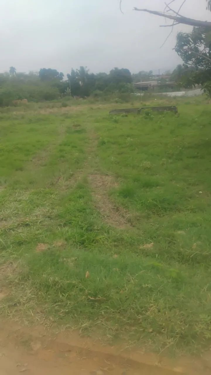 Terreno - Foto 2