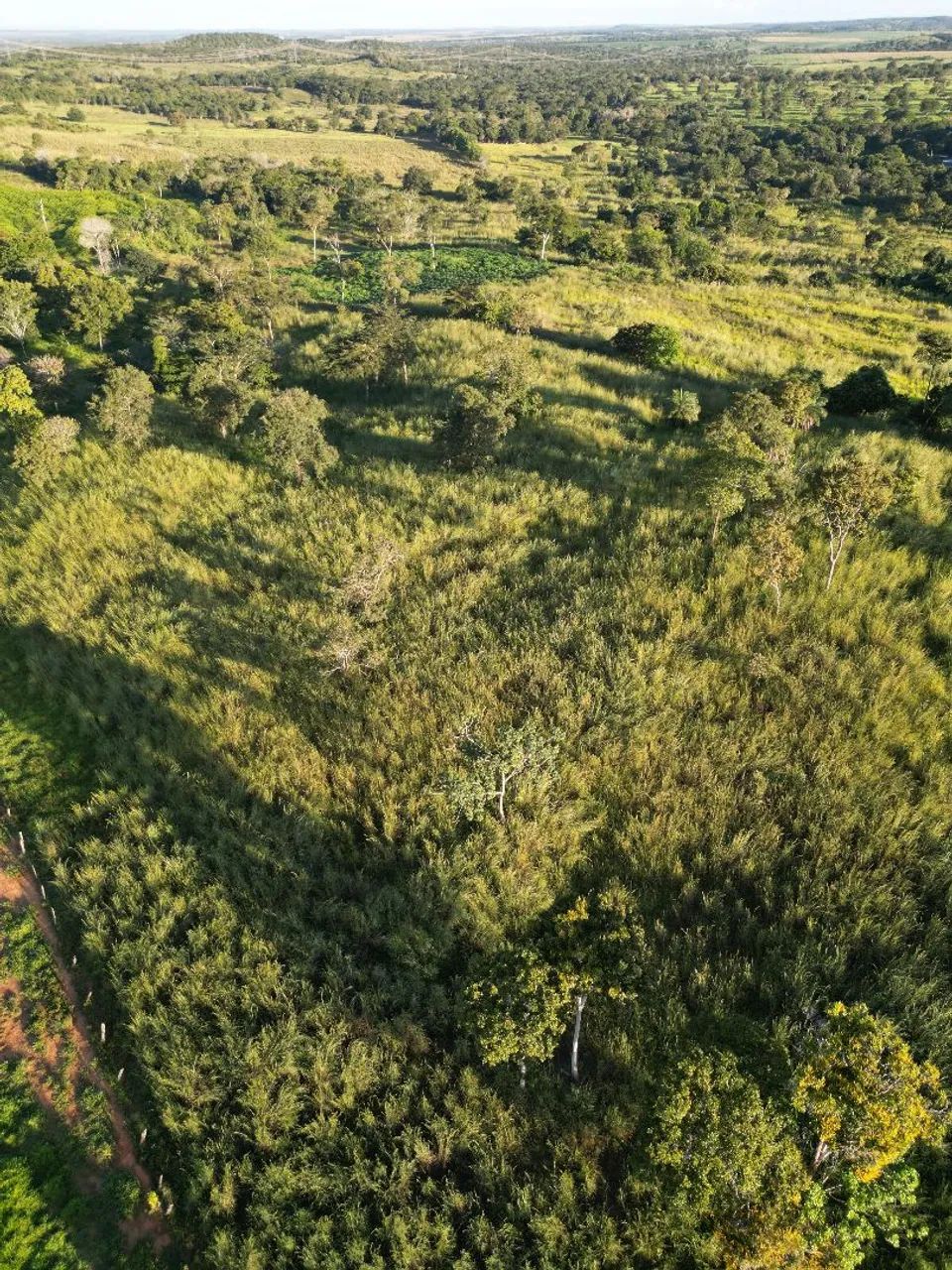 Imobiliária  terra brasil