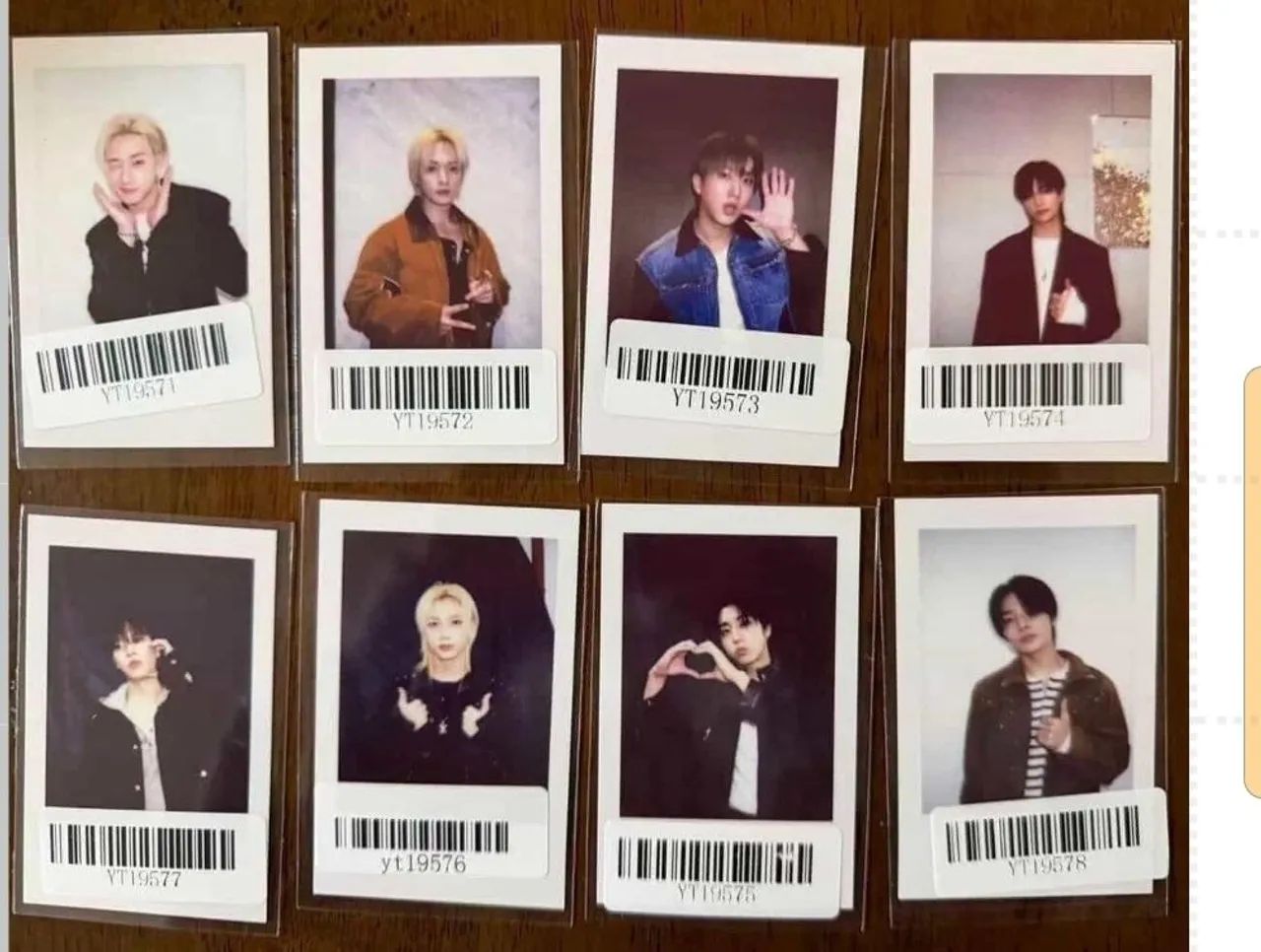 Photocards e pelúcia 