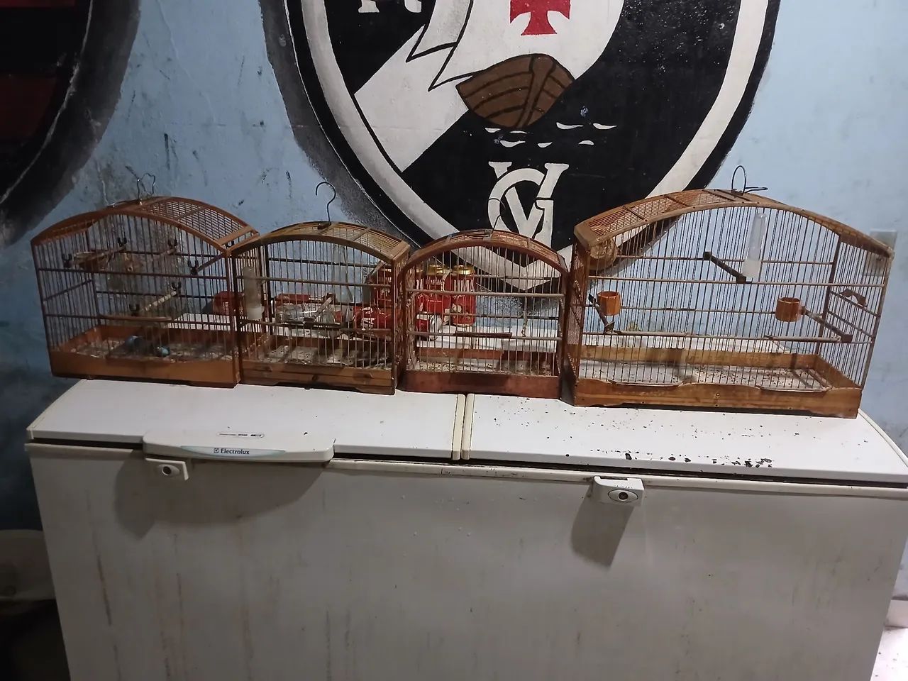 Quatro gaiolas usadas - Foto 3