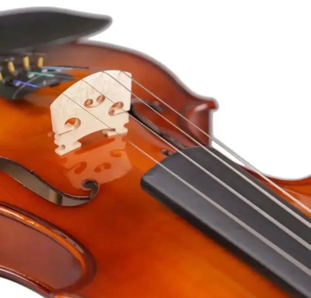 Violino - Foto 2