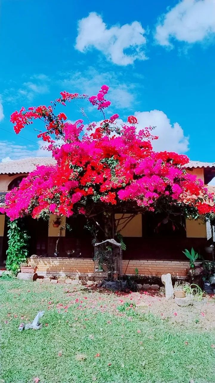 Casa Verde espaço para eventos  - Foto 4