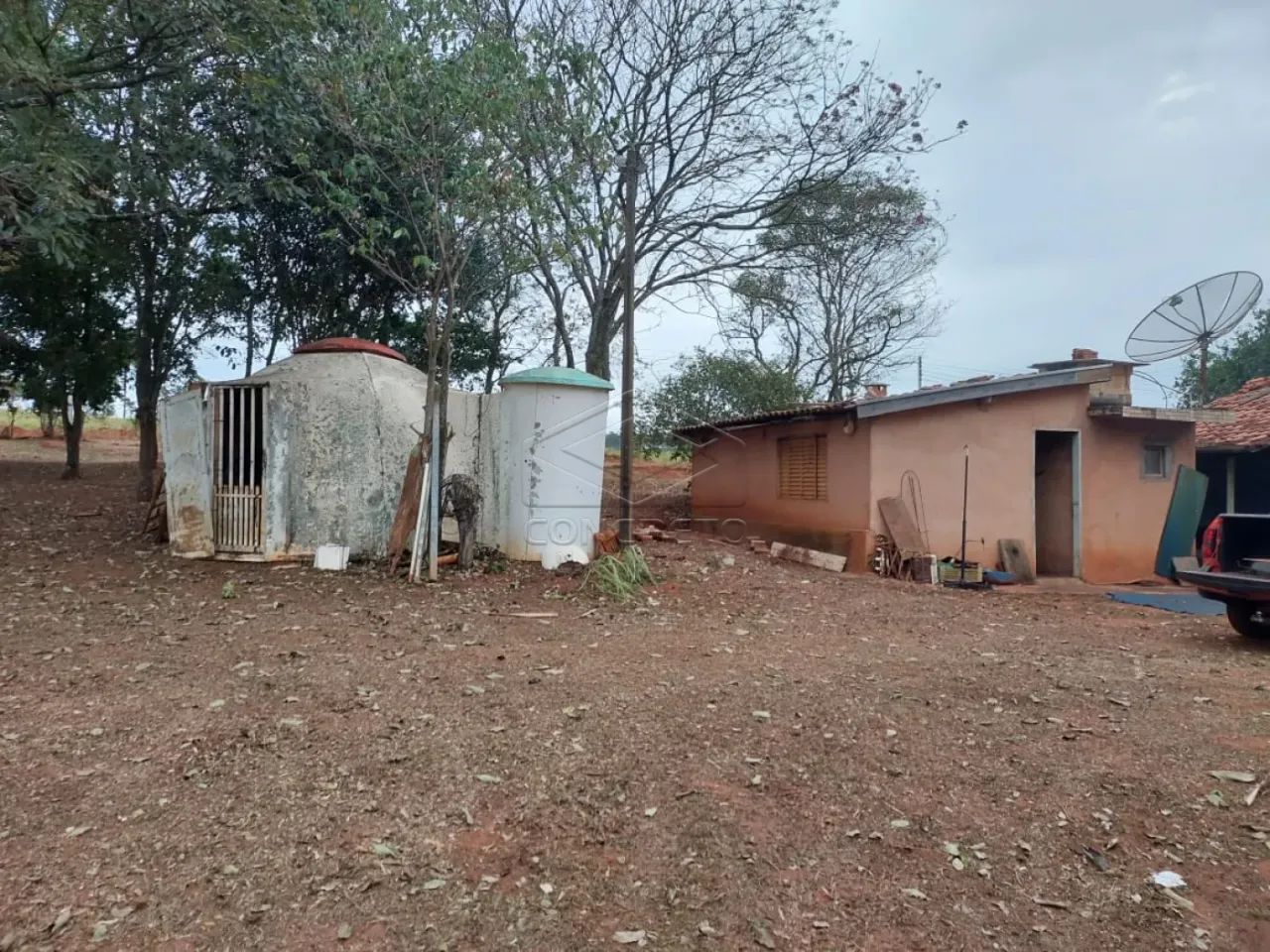 Rural ChácaraFazenda em Arealva - Foto 5