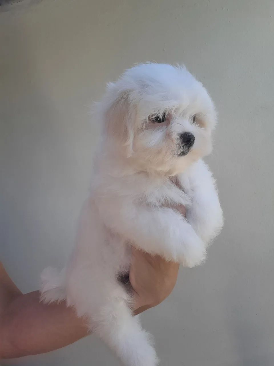 Bebê fofo  - Foto 4