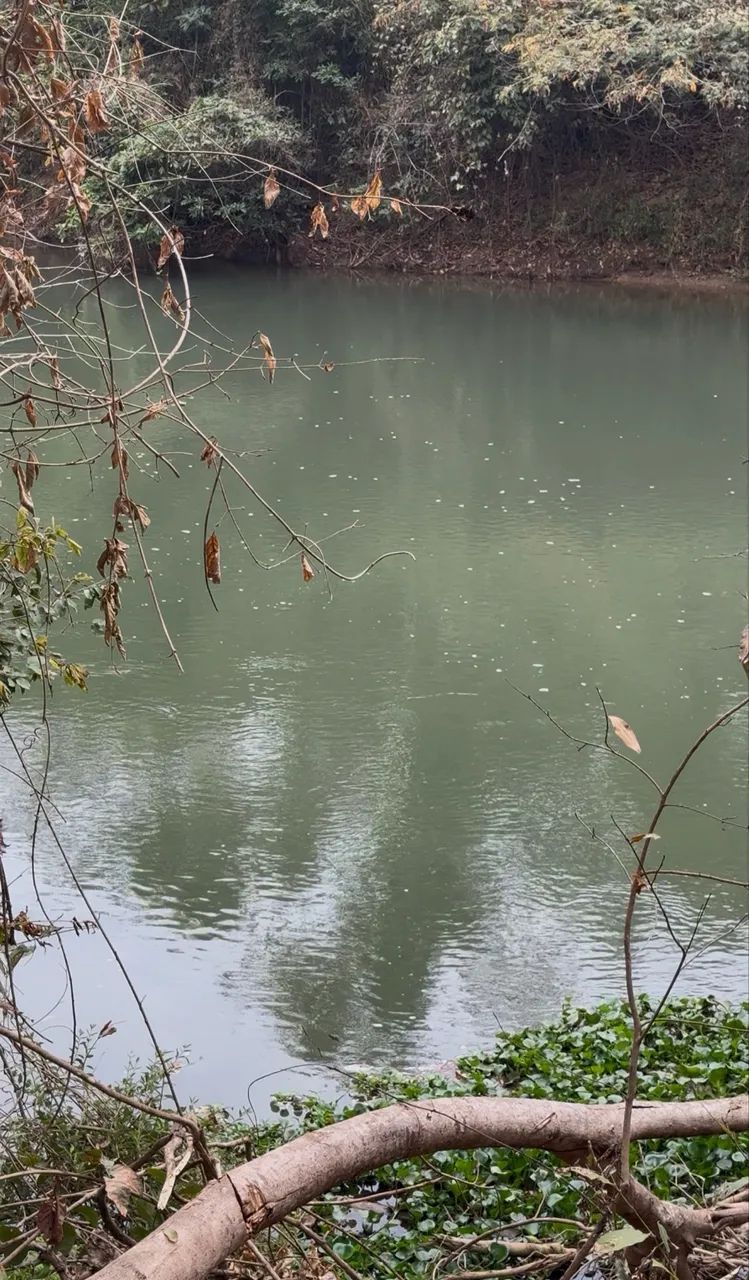 Chácara com rio dos bois no fundo - Foto 2