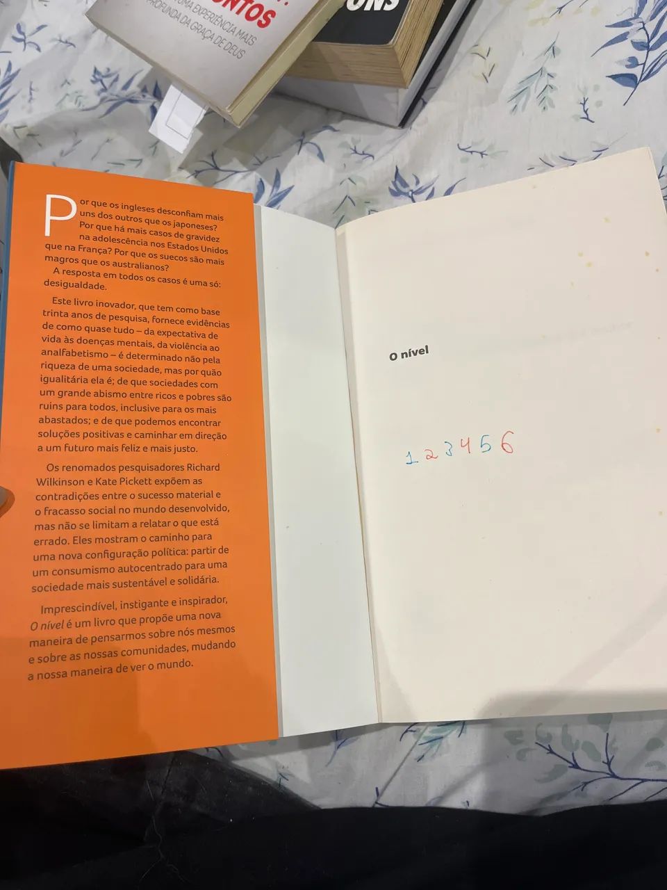 O nivel - Foto 4