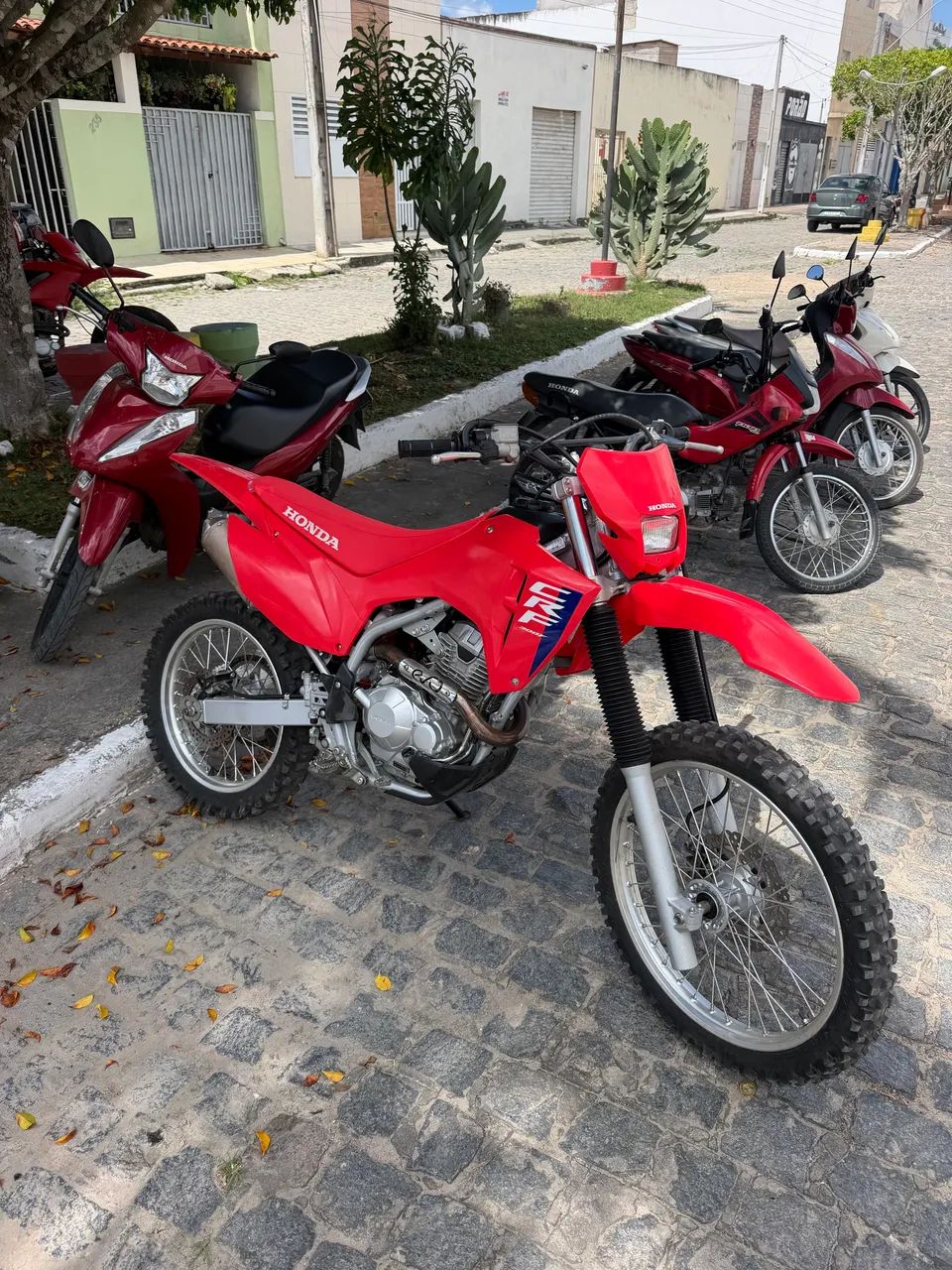 CRF 300f 2026/26 - Foto 5