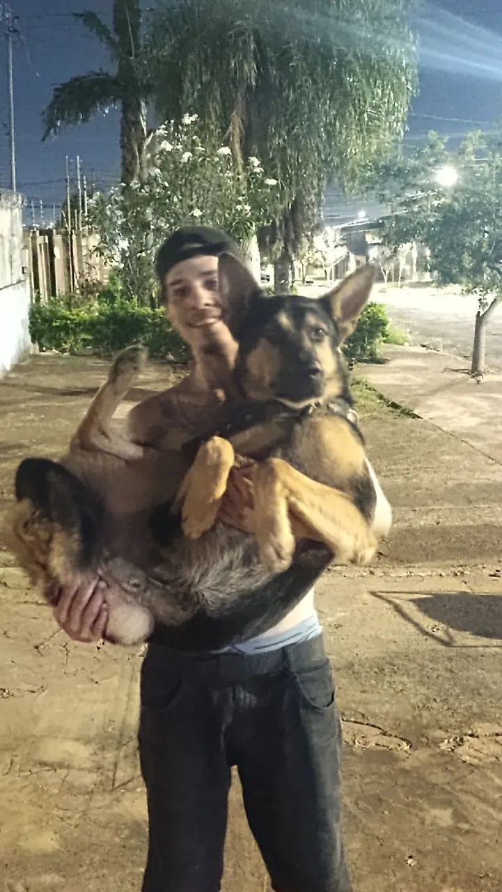 Cachorro 