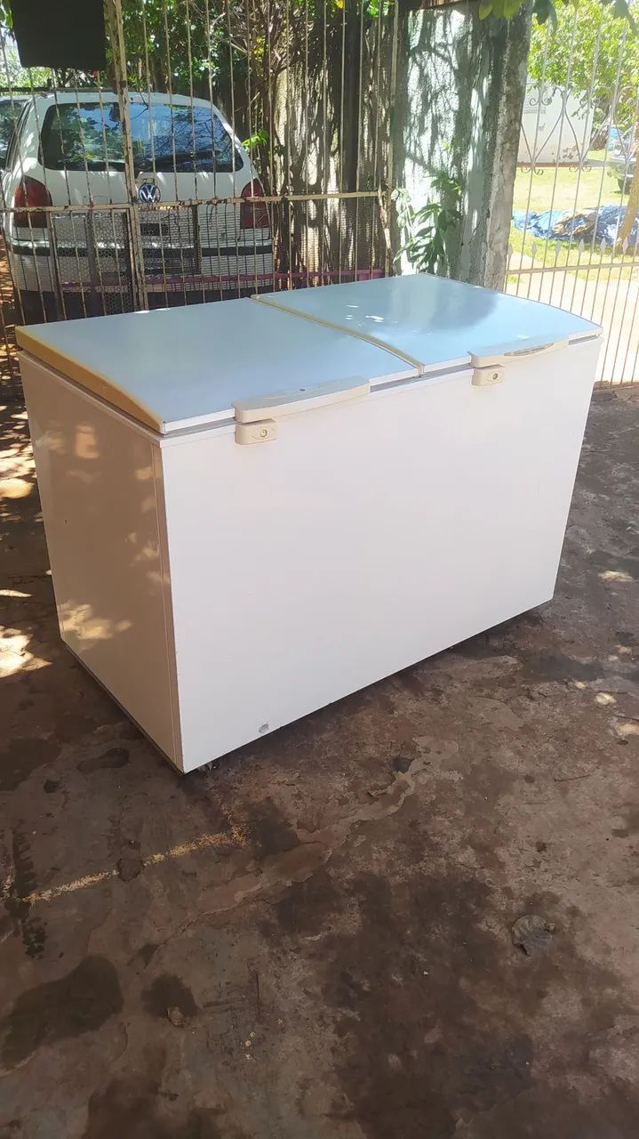 Freezer Electrolux 