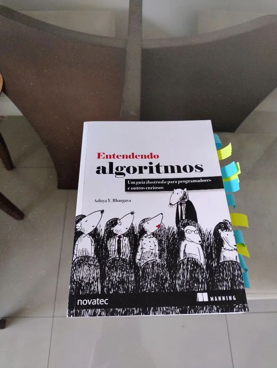 Livro Entendendo algoritmos