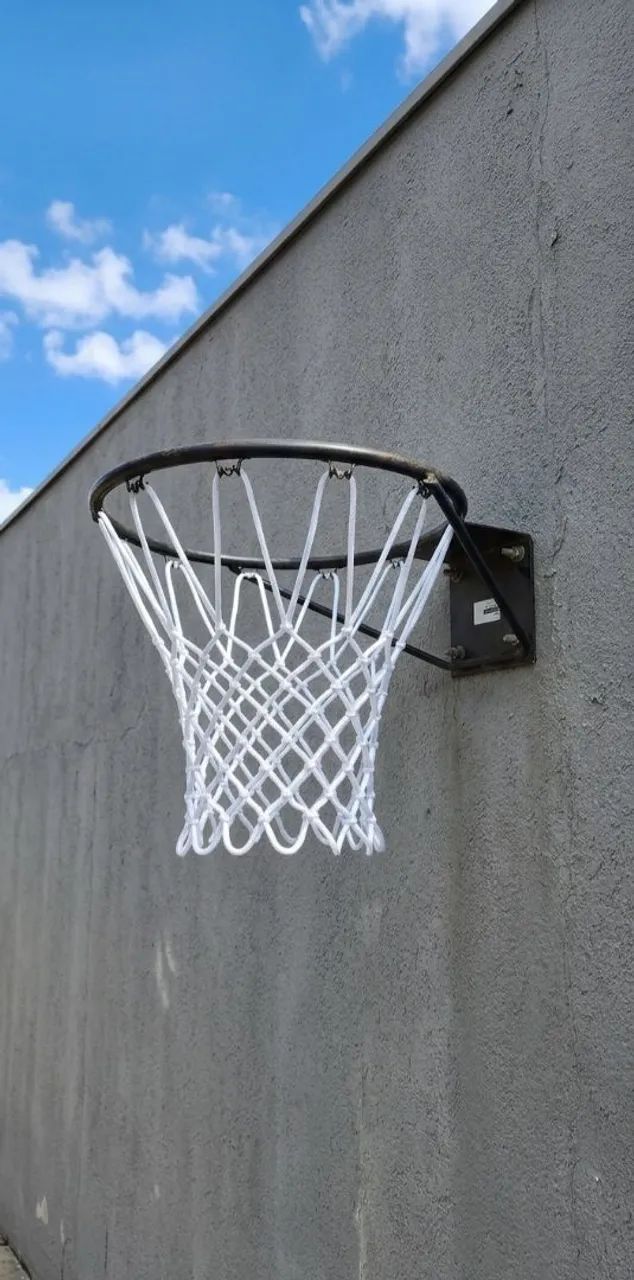 Cesta de Basquete com Rede