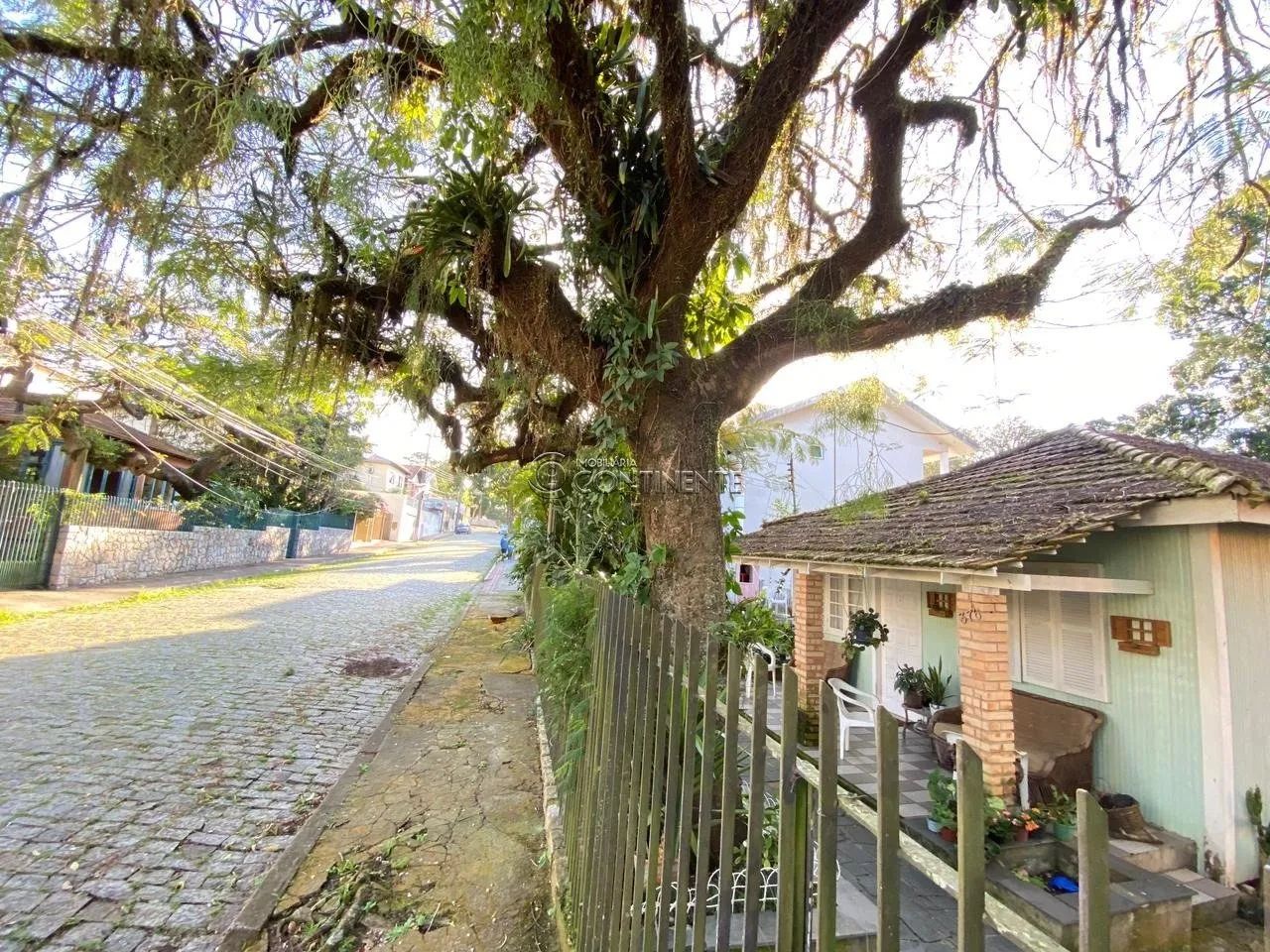 TERRENO BOM ABRIGO - Foto 2