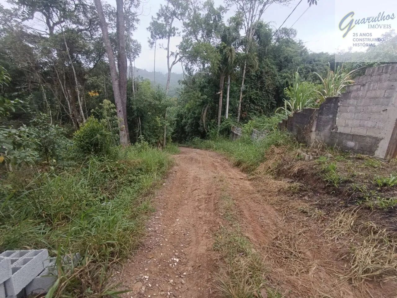 Vende-se chácara em mairiporã - Foto 4