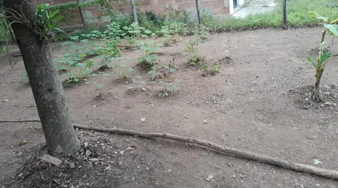 Vende-se terreno  - Foto 4