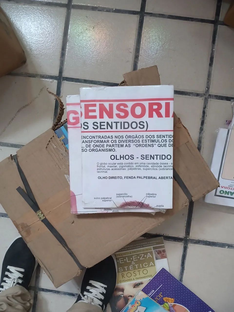 Mapa Dobrado vários temas - Foto 5