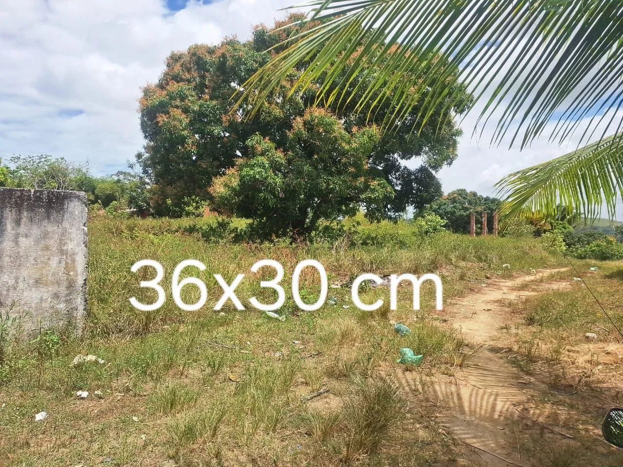Vende-se 3 lotes de terrenos 12x30 (MURIBECA) 