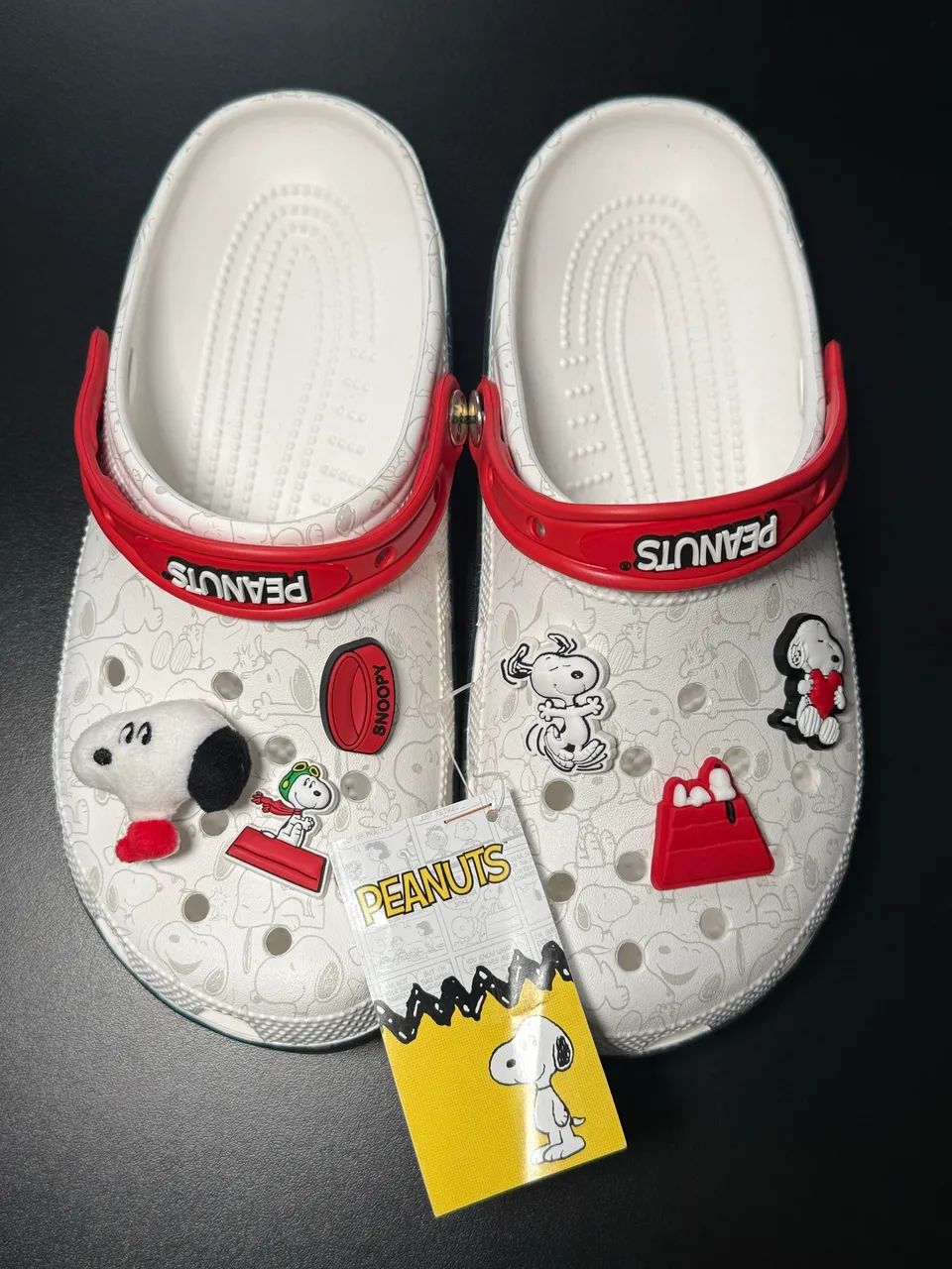 Crocs Peanuts Snoopy Classic Clog