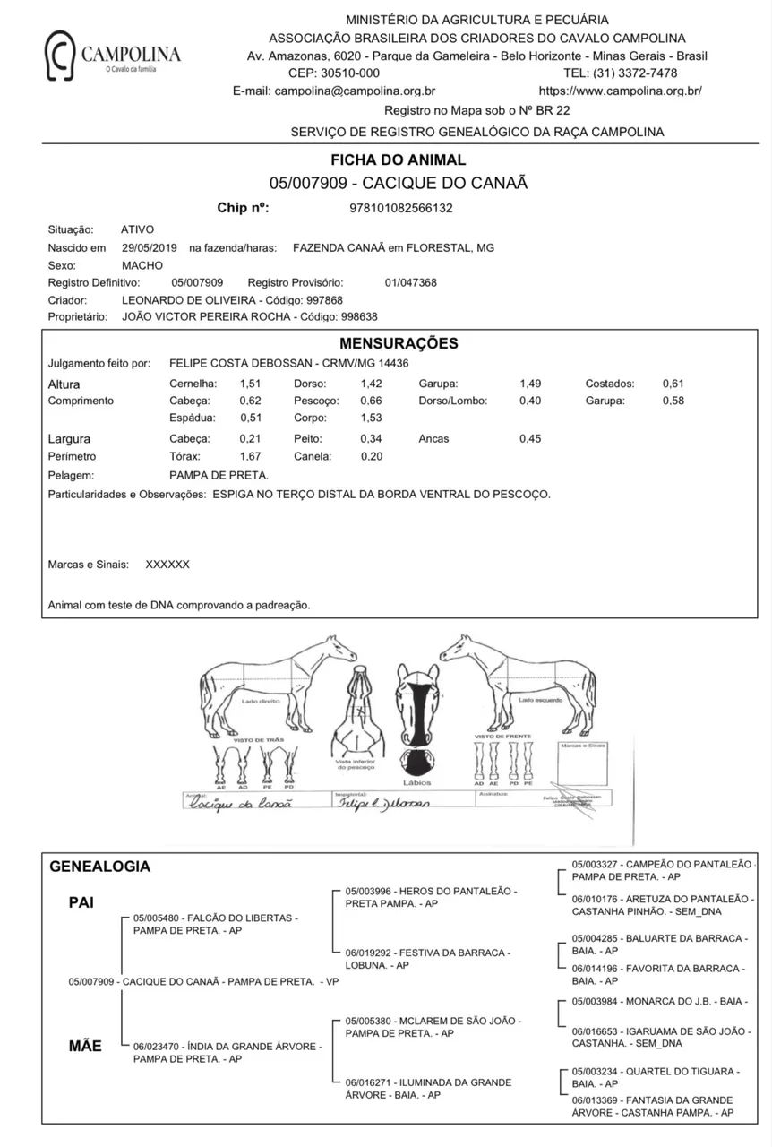 Cavalo Grande TOP - Foto 3