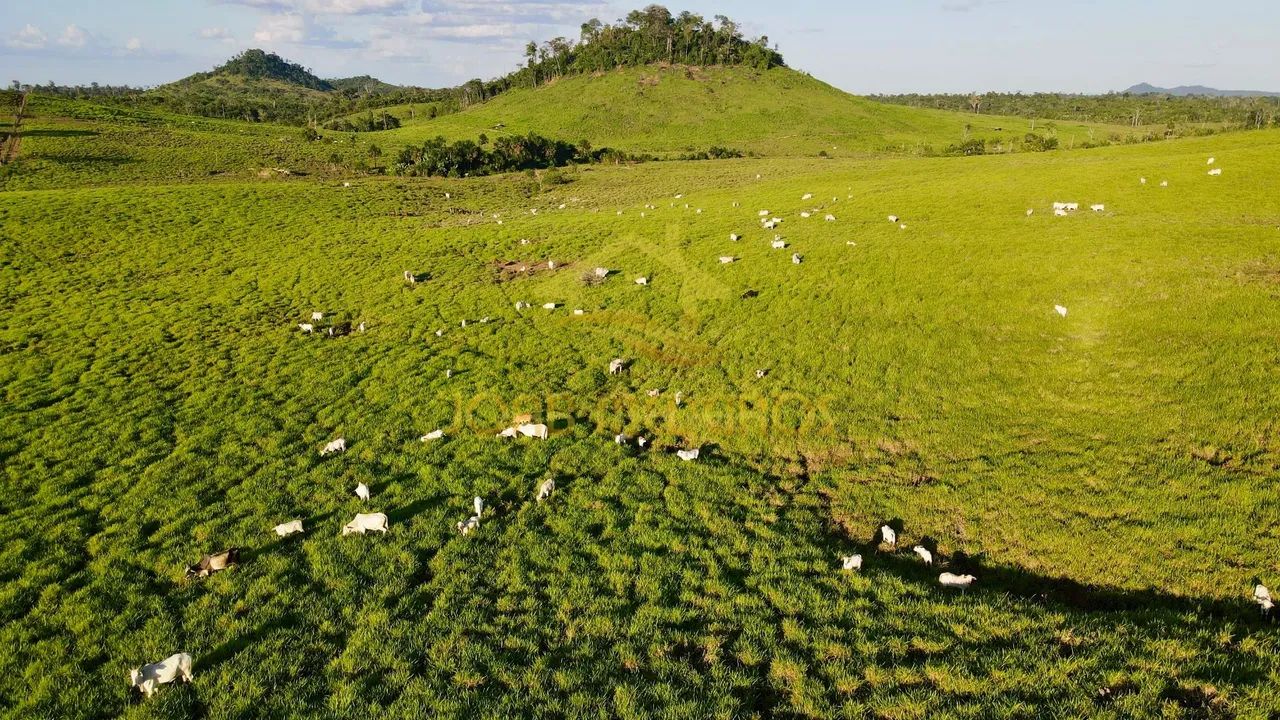 VENDE LINDA FAZENDA ESTRUTURADA EM RORAIMA  - Foto 4