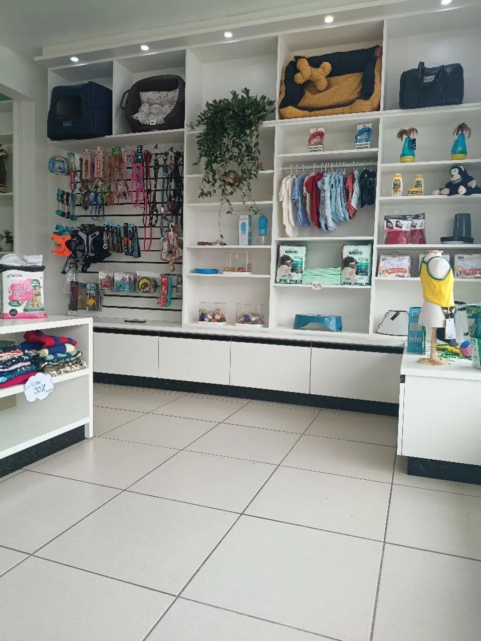 Vendo Pet shop com.banho e tosa - Foto 2