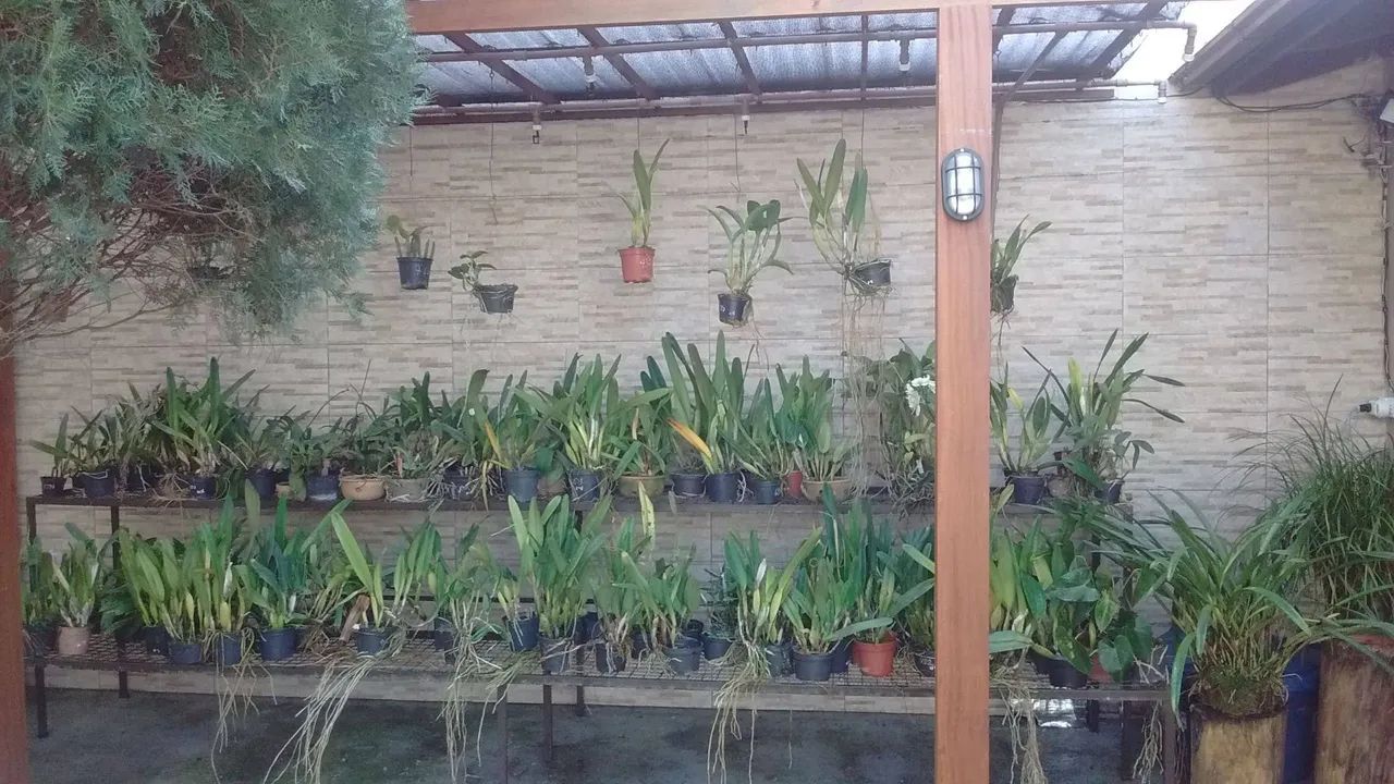 Prateleira para plantas - Foto 4