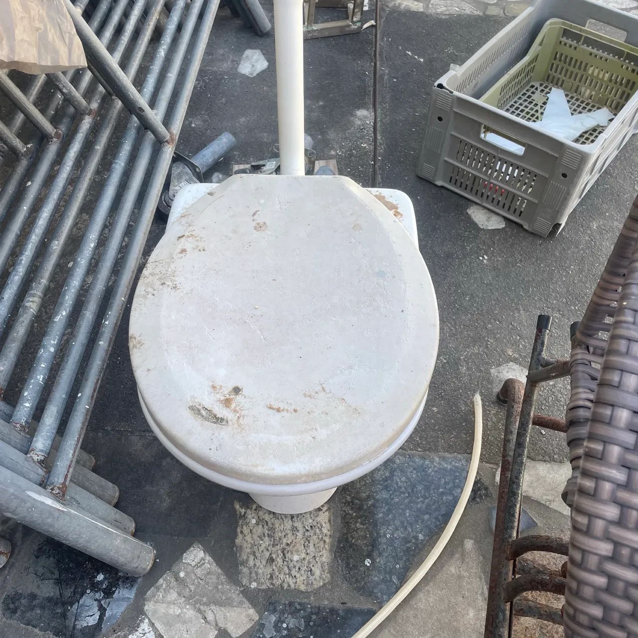 2 assentos sanitário marca CELITE  - Foto 4