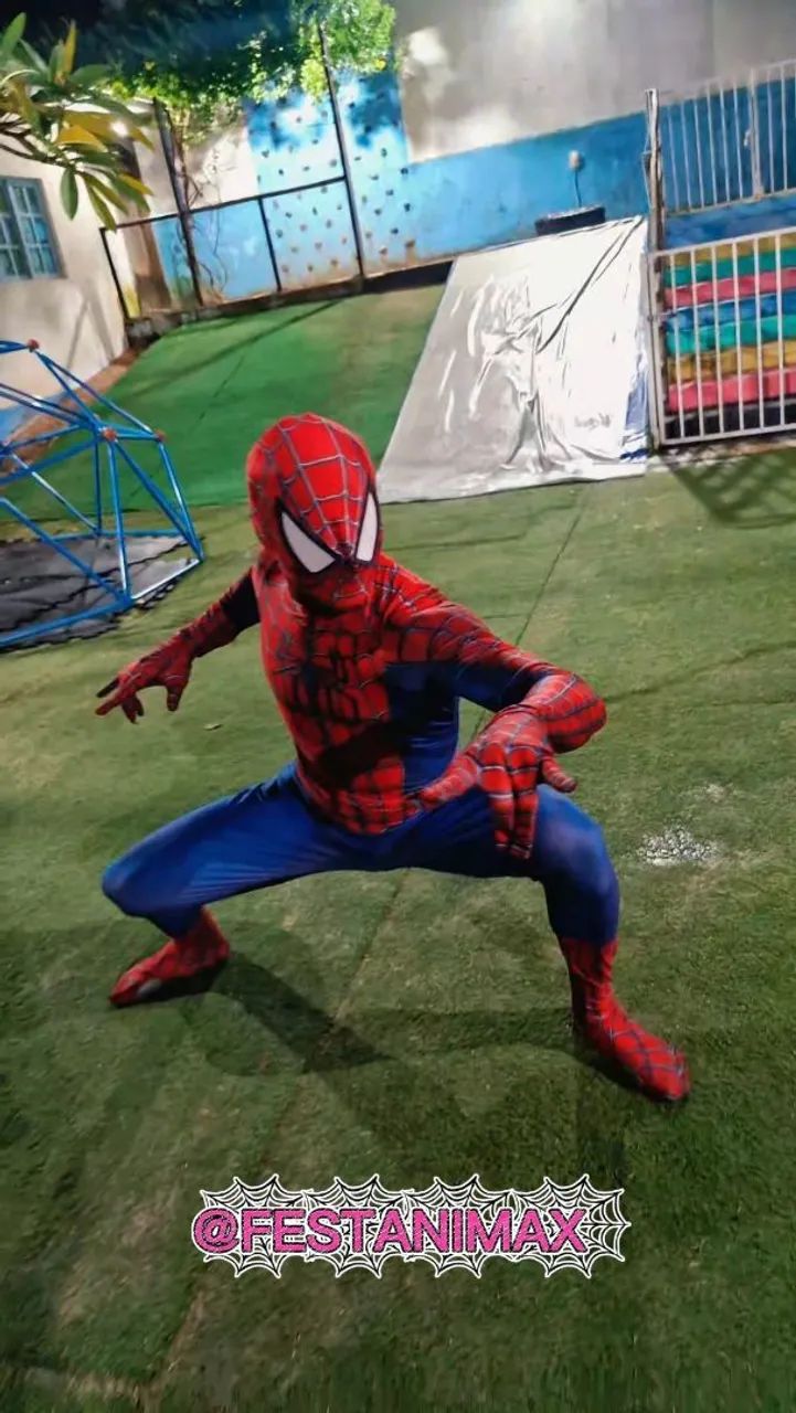 Homem-Aranha Personagem
