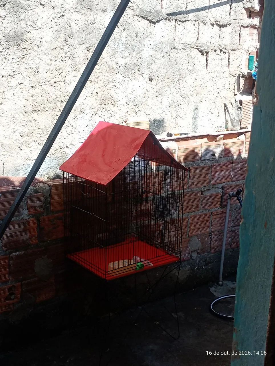 vendo gaiola 