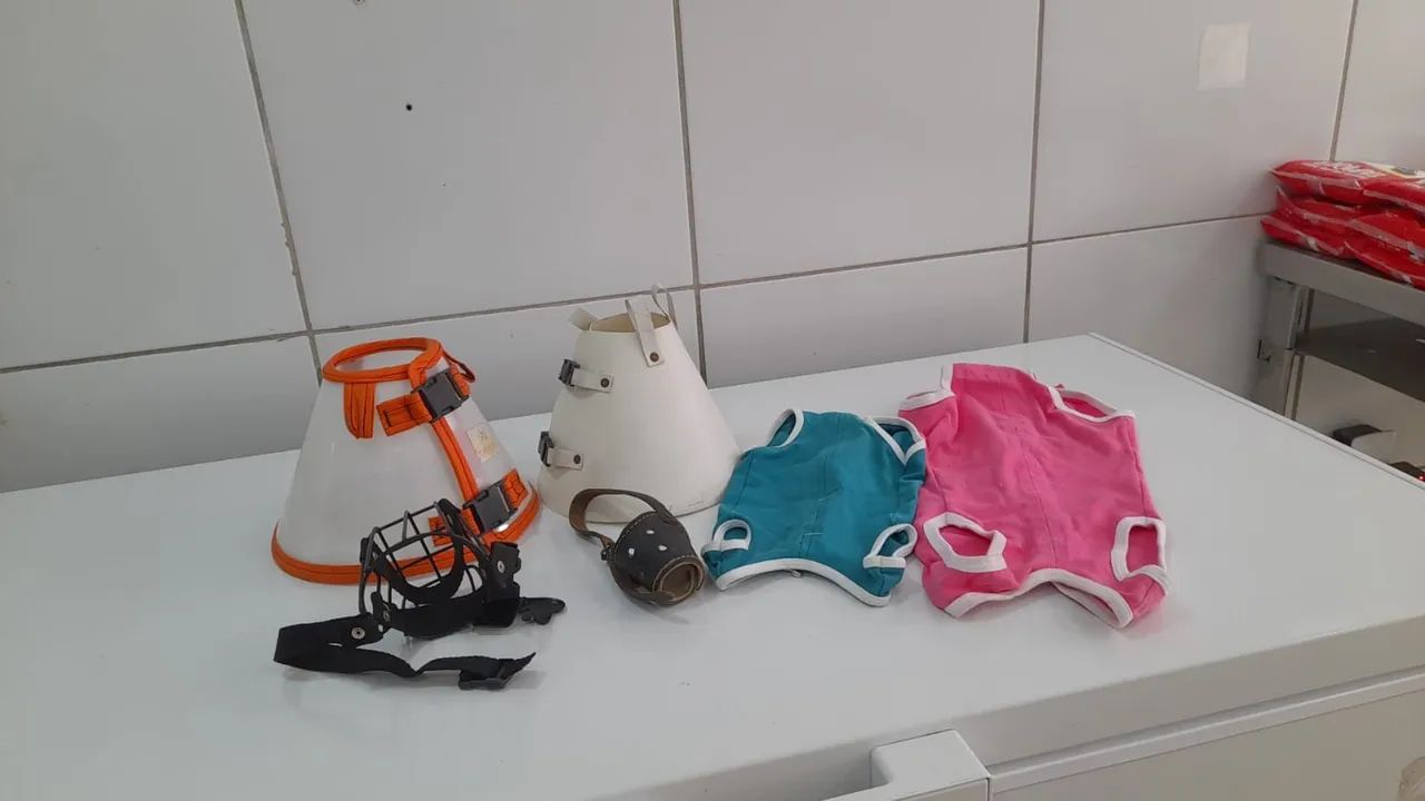 Produtos para cachorro  - Foto 3
