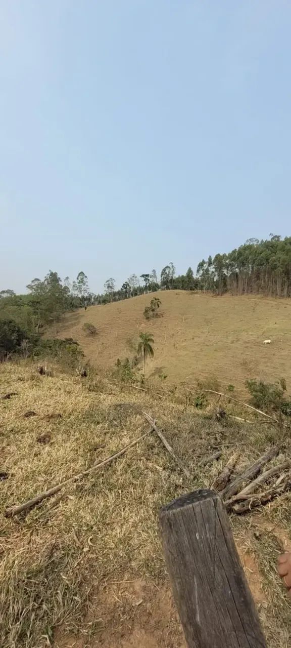 sitio 4 alqueires com laguinho em Piracaia SP