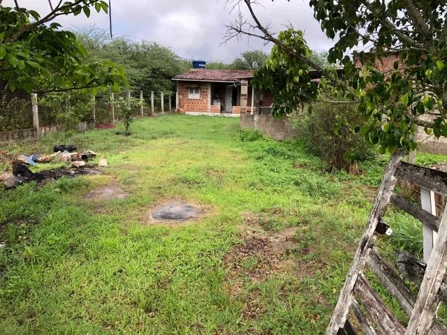 chacara caruaru - Foto 4