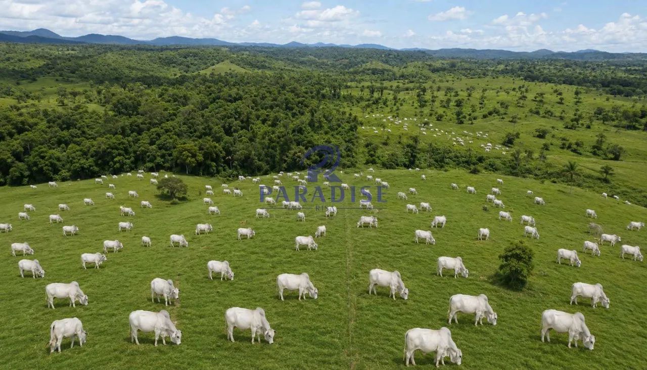 Fazenda, Centro, Itapé - R$ 15.4 mi, Cod: 69029 - Foto 4