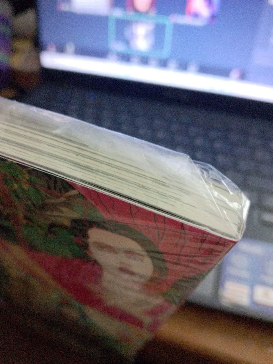 Mangá - a lagarta? - Foto 3